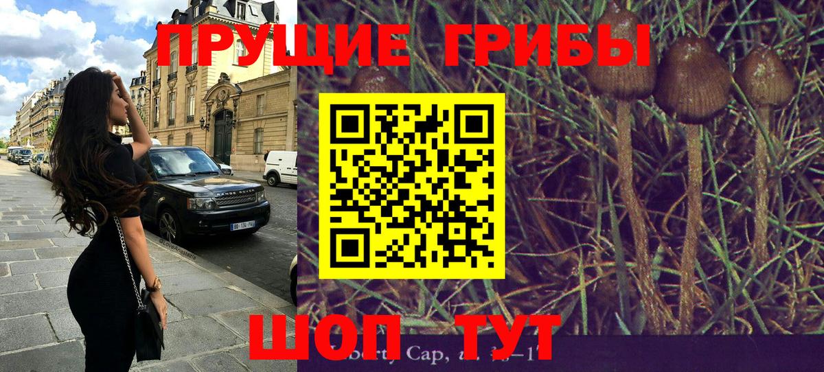 Псилоцибиновые грибы Magic Shrooms  Вход с VPN  Киров 