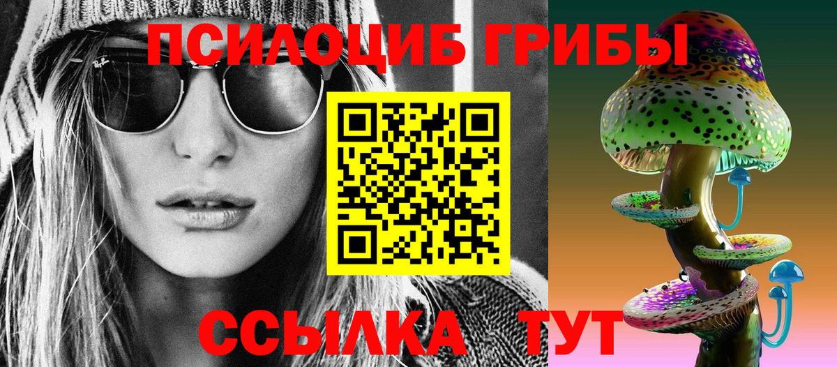 Псилоцибиновые грибы Psilocybine cubensis Киров